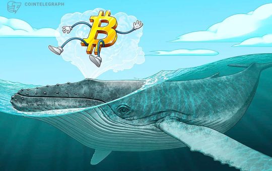 Third-biggest Bitcoin whale’s holdings total $6B after ‘whopping’ 2.7K BTC buy-in