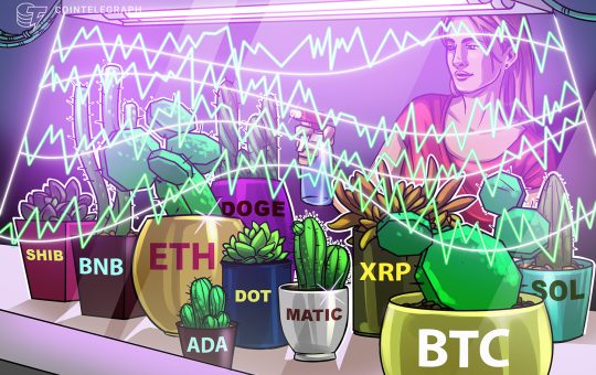 Price analysis 2/24: BTC, ETH, BNB, XRP, ADA, DOGE, MATIC, SOL, DOT, SHIB
