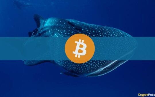 Bitcoin Whale Balance Hits Largest Monthly Decline: Glassnode
