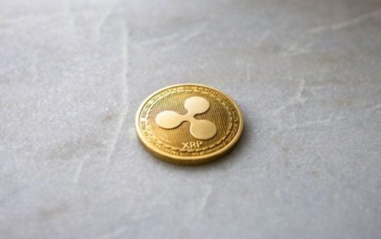 Ripple-backed Evernorth faces $220M drawdown as XRP struggles