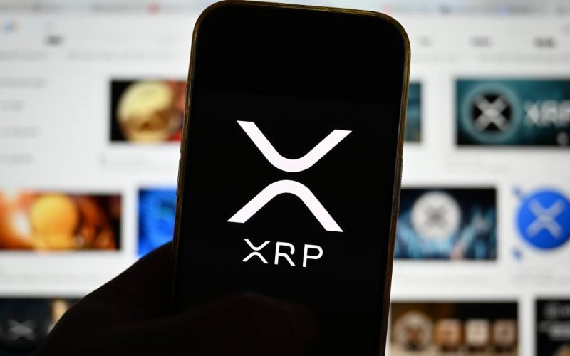 XRP Price Barely Moves on Ripple OCC Approval as Whales Control 68.5% of Supply